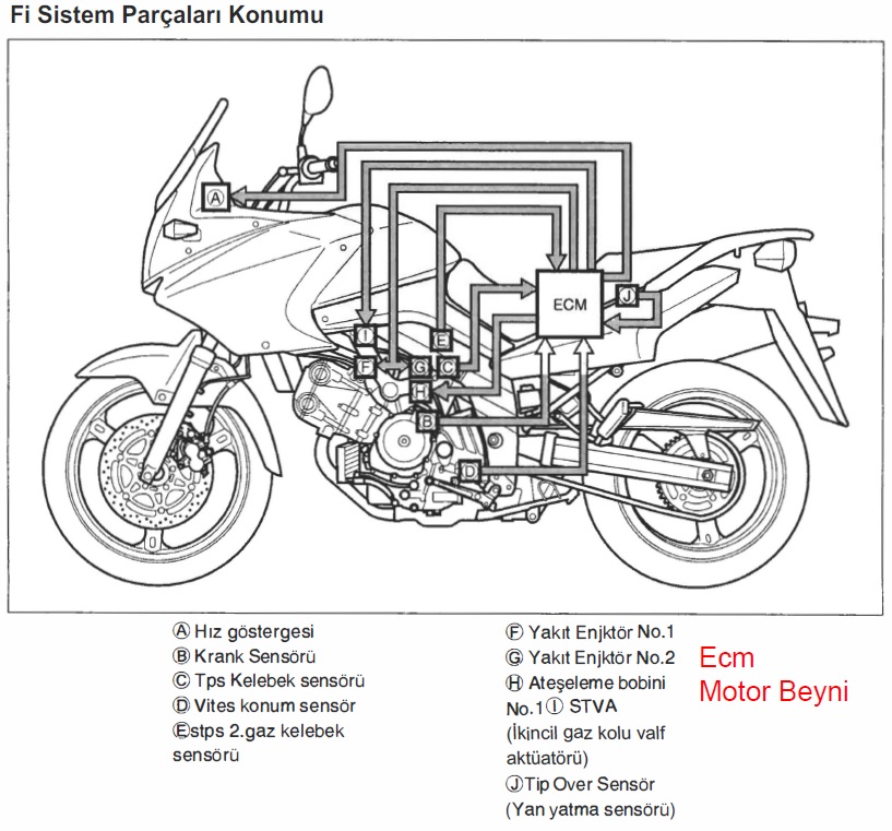 Suzuki v-strom dl650 Enjeksiyon sistem parça konumları